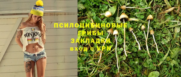 стаф Алексеевка