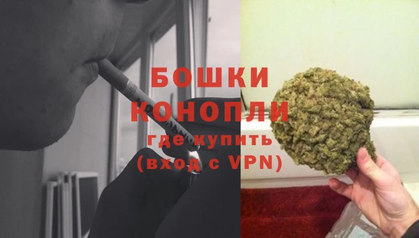 амф Майский