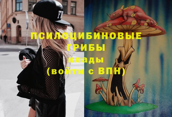 стаф Алексеевка